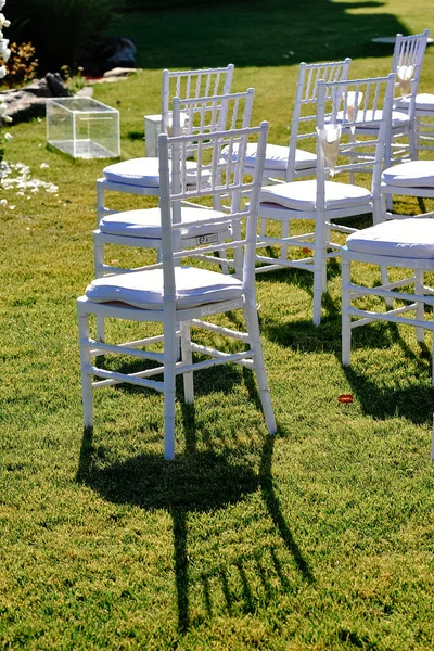 Wedding Chairs Green Grass — Stock Photo, Image