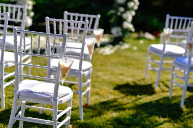 Yeşil çimlerin üzerinde düğün sandalyeleri