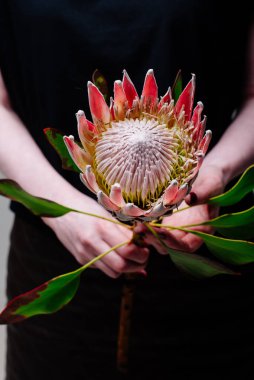 Çiçekçi bir kadının ellerinde protein..