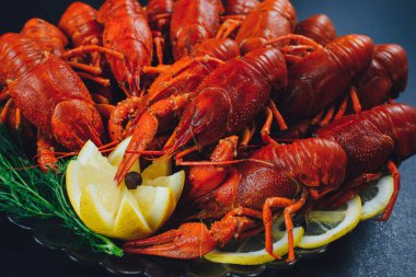 Siyah arka planda kaynamış deniz limonu, karatavuk ve dereotlu kerevit