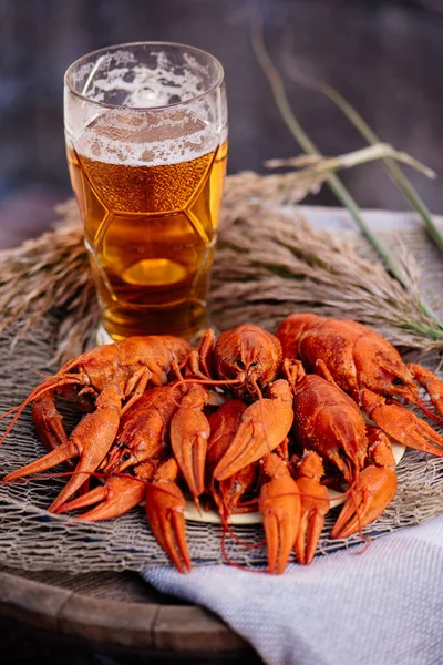 Kaynamış kerevit ve altın bira tuğla duvarda bir fıçının üzerinde