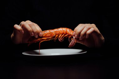 Beyaz tabakta kızarmış ıstakoz, siyah arka plandaki bir kadının ellerinde.