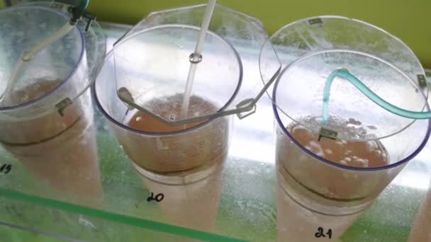 Laboratorio químico en producción. Frascos de vidrio con una solución naranja. HD — Vídeos de Stock