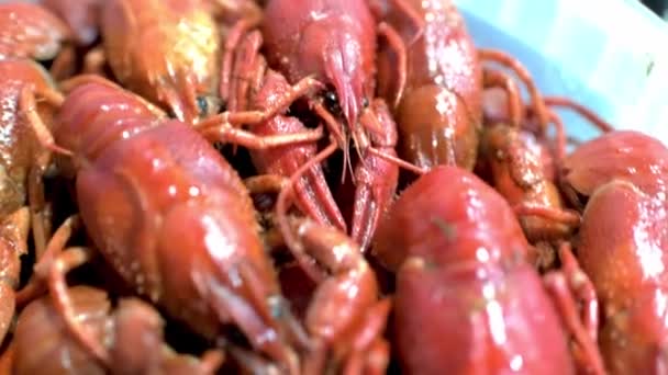 Crayfish empilhado vermelho fervido na cozinha do restaurante. HD — Vídeo de Stock