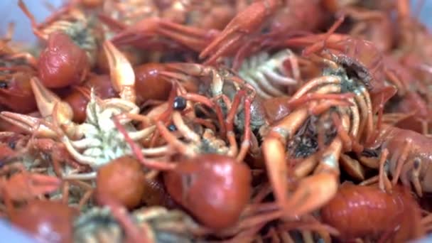 Many of boiled crayfish. Close-up. HD — Stock Video