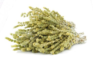 Bir demet dağ çayı Malotira beyaz arka plan üzerinde izole. Yunan geleneksel otlar. Bitkisel çay.