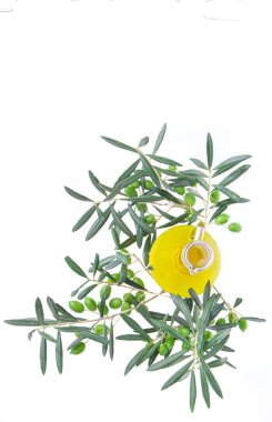 Ekstra saf zeytinyağı ve zeytin dalı olan cam şişe. Beyaz arka planda zeytinli zeytin ağacı brunch 'ı. Doğal ve biyolojik ürün. Yunan zeytinyağı. Kopyalama alanı olan üst görünüm.