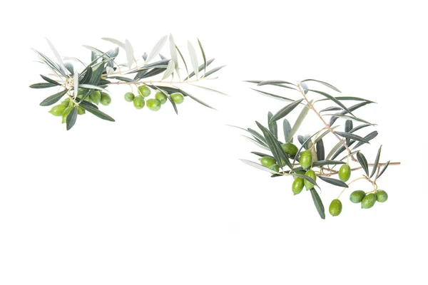 Olive Branch Green Olives Isolated White Background Green Olives Leaves — Stock Photo, Image