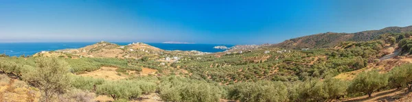 Duvar kağıdı. Arkasında dağlar ve Ege Denizi olan tarımın panoramik manzarası. Zeytin ağaçları yetiştiren endüstriyel tarım. Zeytin yetiştiriyorlar. Yunanistan Girit Adası 'nda zeytin ağaçları.