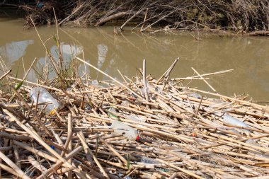 Plastik ile çevre kirliliği. Deniz kenarındaki çöpler. Sahilde çöp. Plastik şişeler ve atıklarla su kirliliği.