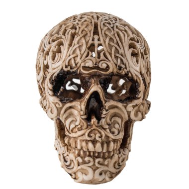 Kafatası beyaz arka planda izole edilmiş. Oyma şekilli kafatası.