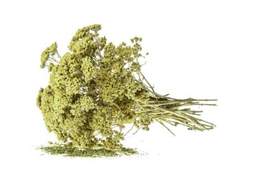 Beyaz arka planda izole edilmiş doğal Oregano bitkisi. Yunan kekik baharatları yalıtılmış. Uzayı metin için kopyala. Baharatlar ve bitkiler izole edilmiş..