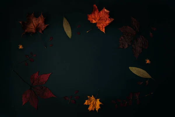 Composition of dead leaves isolated.
