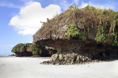 Diani beach Mombasa, Kenya