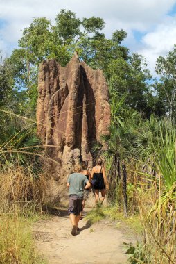 Australia, unidentified tourists visit giant termite mound in Litchfield National Park, Northern Territory clipart