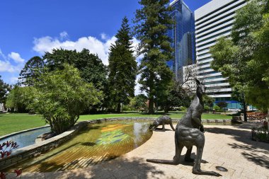 Perth, Wa, Avustralya - 28 Kasım 2017: kanguru genel Stirling bahçelerde ve Batı Avustralya başkenti binalarda içme ile heykel