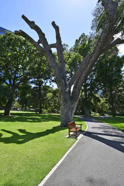 オーストラリア パース パブリック最高裁判所庭園 — ストック写真