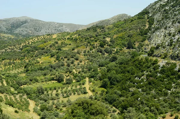 Grecja Krajobrazu Wiejskiego Górach Krety — Zdjęcie stockowe