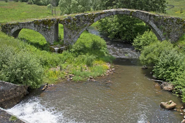 Bulgaria Viejo Puente Piedra Cerca Dospat — Foto de Stock