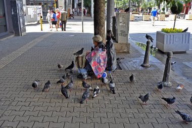 Sofia, Bulgaristan - 16 Haziran 2018: Tanımlanamayan yaşlı kadın onları doyurmak için güvercinler kalabalığın ortasında içinde kaldırımda