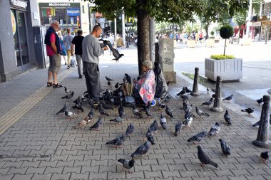 Sofia, Bulgaristan - 16 Haziran 2018: eski güvercin besleme kaldırımda oturan kadın