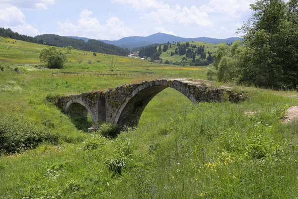 Bulgária Ponte Pedra Velha Perto Dospat — Fotografia de Stock