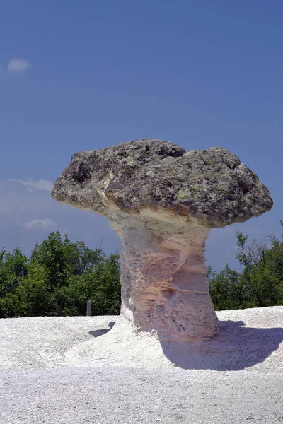 Bulgarije Natuurverschijnsel Rotsformatie Genaamd Mushroom Rotsen Aka Steen Paddestoelen Gelegen — Stockfoto