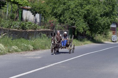 Beli Plast, Bulgaristan - 07 Haziran 2018: Eşek arabası küçük Beli Plast Kırcaali yakınındaki kasabada tanımlanamayan köylülerle