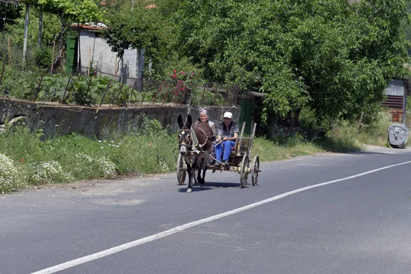 相信塑料 保加利亚 2018年6月07日 在相信塑料附近的小村庄里 不知名的农民与驴车在 Kardzhali — 图库照片