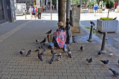 Sofia, Bulgaristan - 16 Haziran 2018: Tanımlanamayan yaşlı kadın onları doyurmak için güvercinler kalabalığın ortasında içinde kaldırımda