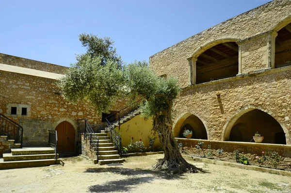 Grèce Olivier Dans Cour Monastère Arkadi Sanctuaire National Crète — Photo