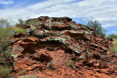 Avustralya, Nt, toplu Ewaninga korunması rezerv, tarih öncesi gravür ve bitki örtüsü ören, rock ile liken