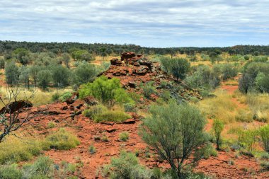 Avustralya, Nt, genel Ewaninga koruma rezerv, tarih öncesi gravür ve bitki örtüsü ören