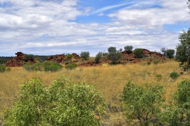 Avustralya, Nt, genel Ewaninga koruma rezerv, tarih öncesi gravür ve bitki örtüsü ören