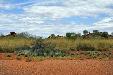 Avustralya, Nt, genel Ewaninga koruma rezerv, tarih öncesi gravür ve bitki örtüsü ören
