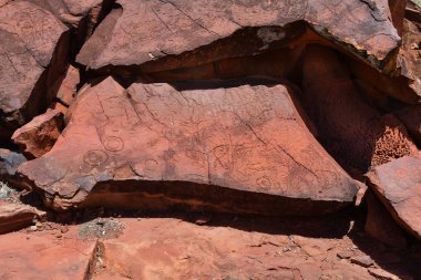 Avustralya, Nt, genel Ewaninga koruma rezerv, tarih öncesi gravür ve bitki örtüsü ören,