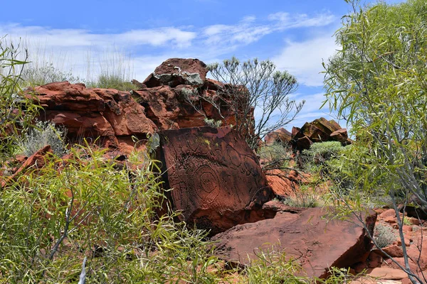 Australia, NT, public Ewaninga Conservation Reserve, area with prehistoric engravings and Aborigines historical site, rock with lichens