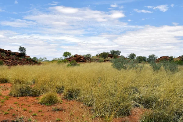 Australia Reserva Pública Conservación Ewaninga Área Con Grabados Prehistóricos Sitio —  Fotos de Stock