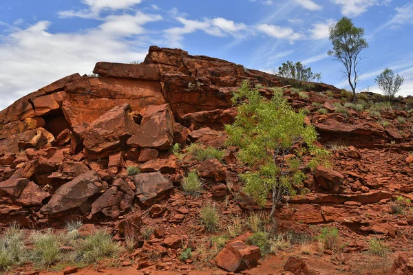 Australia Publiczne Ewaninga Ochrony Rezerwatu Obszar Ryciny Prehistoryczne Aborygenów Historycznych Obraz Stockowy