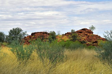 Avustralya, Nt, genel Ewaninga koruma rezerv, tarih öncesi gravür ve bitki örtüsü ören