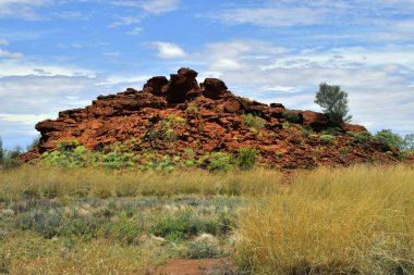 Avustralya, Nt, genel Ewaninga koruma rezerv, tarih öncesi gravür ve bitki örtüsü ören