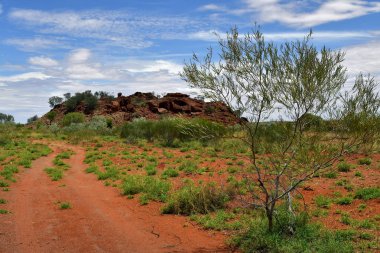 Avustralya, Nt, genel Ewaninga koruma rezerv, tarih öncesi gravür ve bitki örtüsü ören