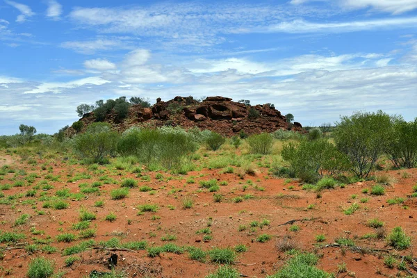 Avustralya, Nt, genel Ewaninga koruma rezerv, tarih öncesi gravür ve bitki örtüsü ören