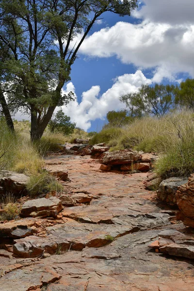 蛇紋岩の峡谷の西マクドネル山脈国立公園の展望台にオーストラリア — ストック写真