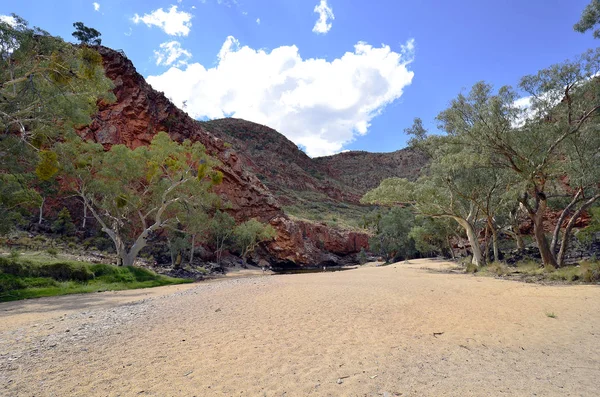 Alice Springs Australia Noviembre 2017 Personas Identificadas Ormiston Gorge Parque —  Fotos de Stock