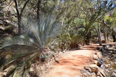 Standley uçurum içinde Avustralya, Nt, patika Mc Donnell Milli Parkı içinde