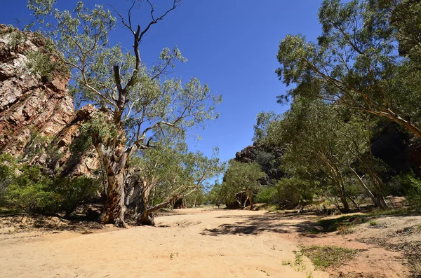 Αυστραλία Emily Κενό Στην Ανατολή Mcdonnell Γκάμα Εθνικού Πάρκου — Φωτογραφία Αρχείου
