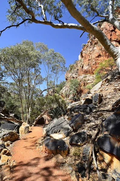 Australia Sendero Standley Chasm Parque Nacional Donnell —  Fotos de Stock