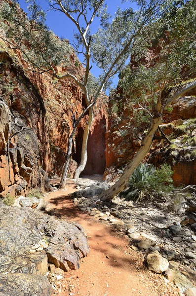 Austrália Caminho Standley Chasm Parque Nacional Donnell — Fotografia de Stock