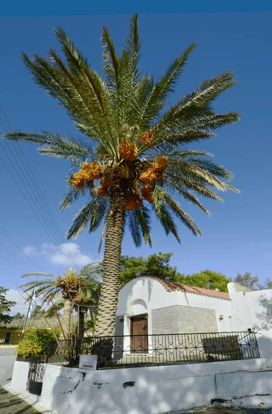 Grèce Crète Partie Monastère Angarathos Avec Chapelle Palmier Dattier — Photo